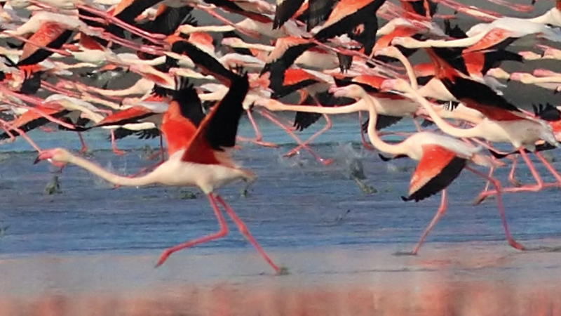 Akrotiri and Dhekelia